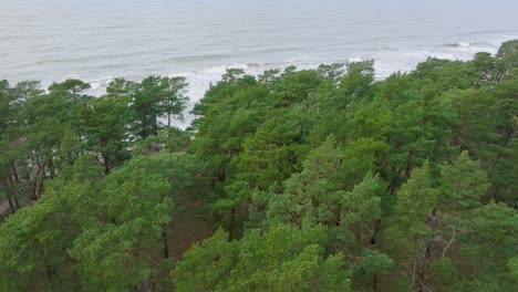 Establishing-aerial-view-of-old-Soviet-military-concrete-observation-watchtower,-pine-tree-forest,-Liepaja-,-military-heritage,-Nordic-woodland,-Baltic-sea-coast,-wide-drone-shot-moving-back