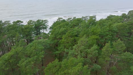 establecimiento de una vista aérea de la antigua torre de observación militar soviética de hormigón, bosque de pinos, liepaja, herencia militar, bosque nórdico, costa del mar báltico, amplio tiro de drones retrocediendo
