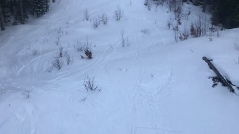 Aerial-drone-view-of-deep-snow-and-extreme-terrain-ski-snow-trails-at-Jahorina-mountain