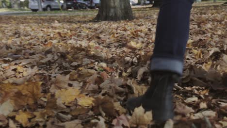 a person wearing a black leather boots, playing around the fallen dried maple leaves - close up shot