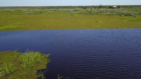 Wetlands-of-northeast-Argentina-shooted-with-drone