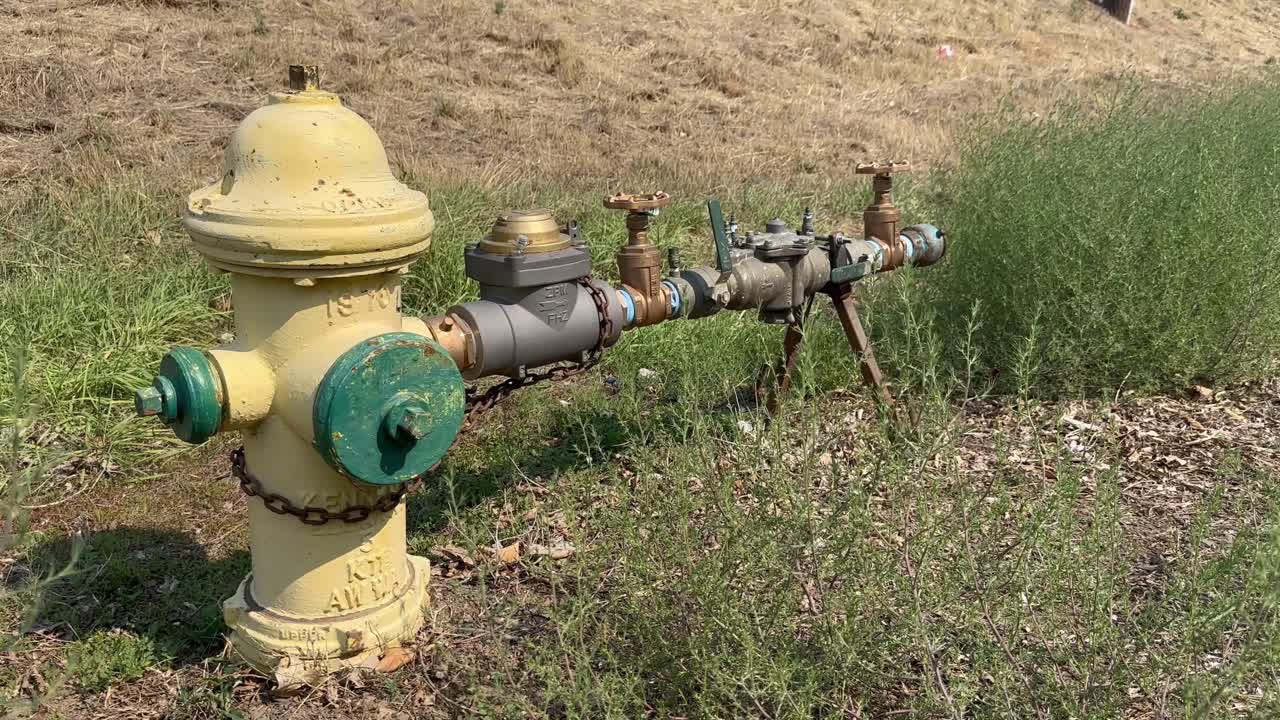 mariposas vuelan alrededor de hidrantes de fuego amarillos y verdes con accesorios de manguera