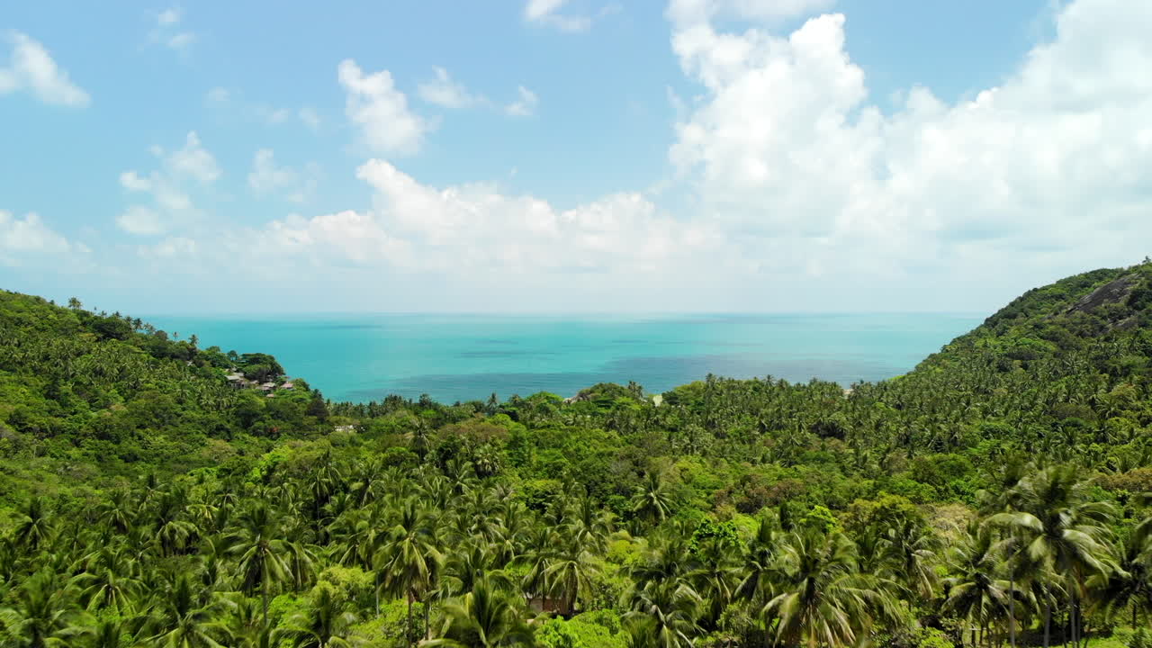 Vuelo de dron sobre una selva con océano turquesa al fondo