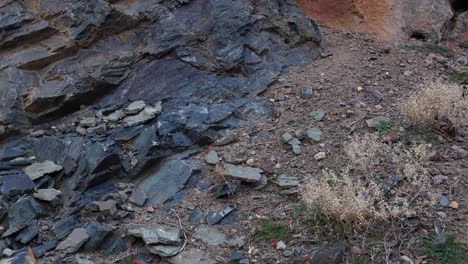 4K-Dolly-Close-Up-of-Rocks