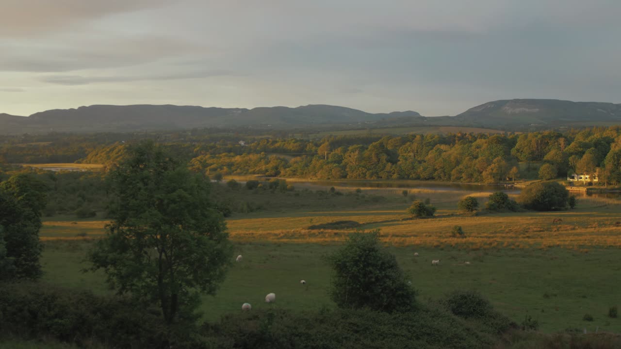 Belle lumière dorée s'étendant sur des champs verdoyants près de la rivière.