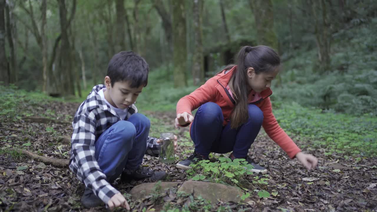 hermanos étnicos recogiendo hojas en el terreno en el bosque
