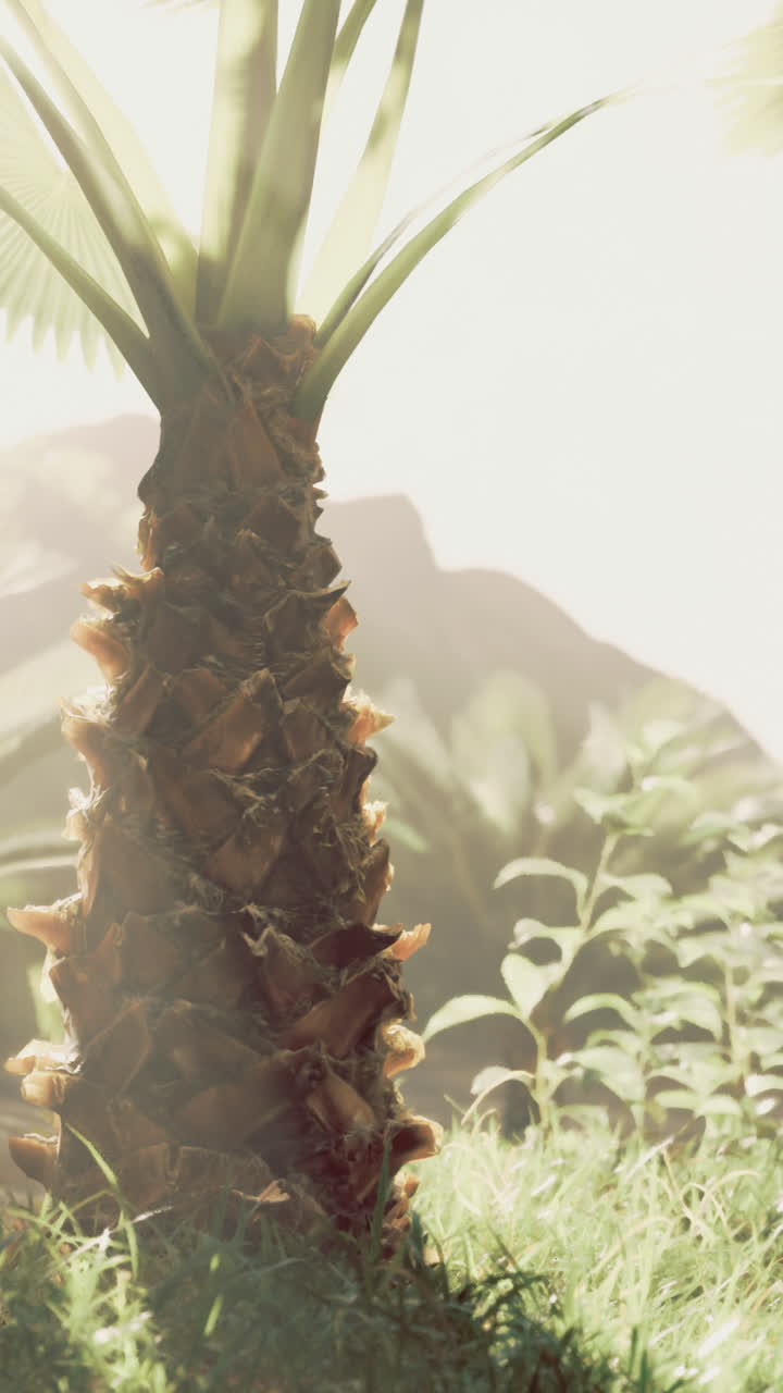 Lush tropical landscape with sunlit palm trees in a vibrant environment