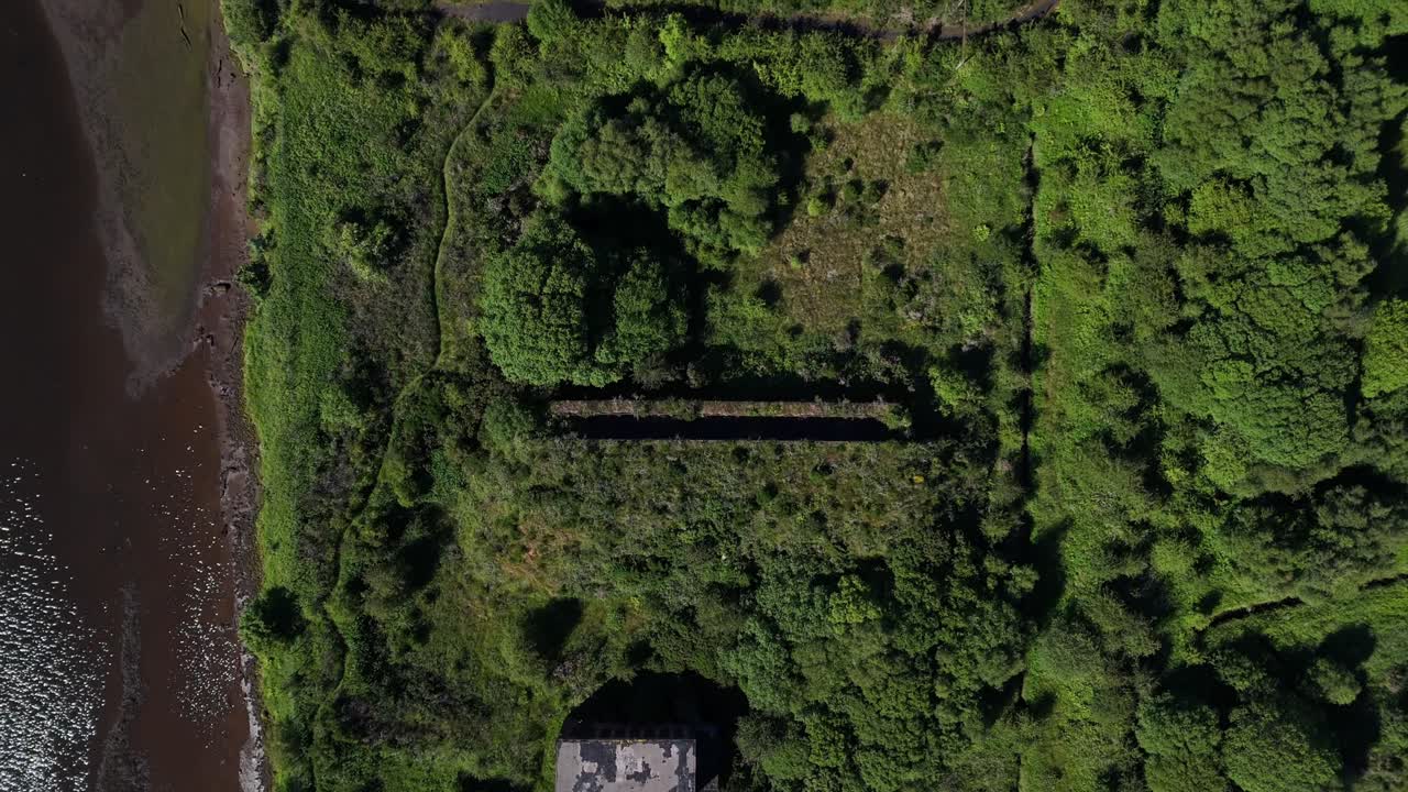 Top-down aerial view of abandoned buildings overtaken by wild vegetation near a muddy shoreline. Ideal for themes of nature reclaiming, decay, or forgotten industrial history