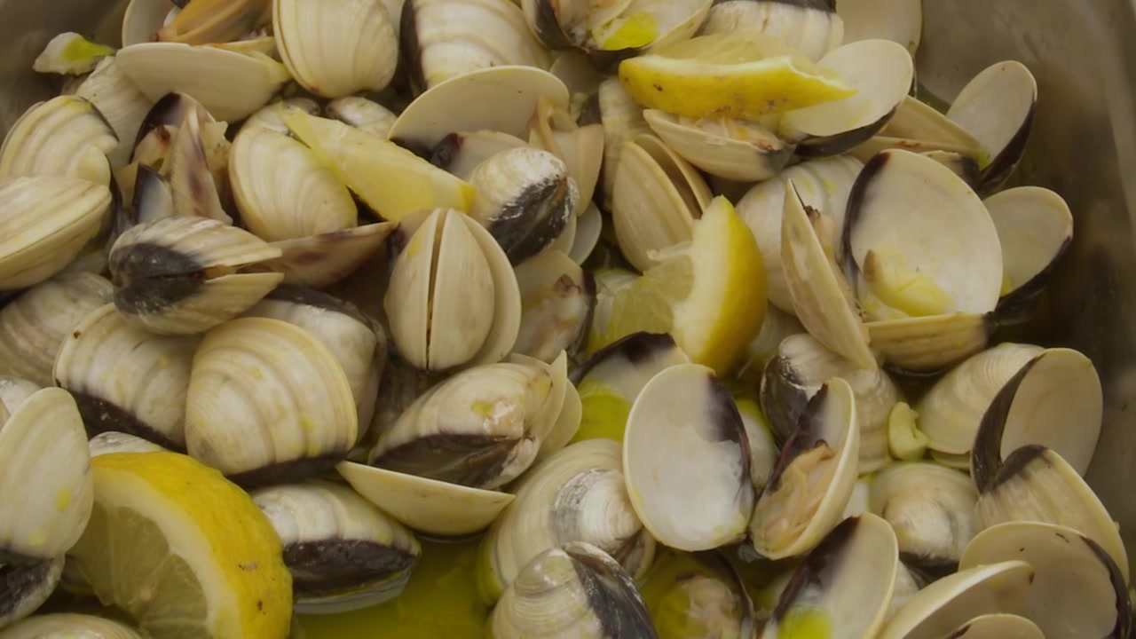 Cooking fresh clams. Sea Food Concept