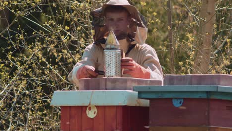 beekeeper opens the hive and then uses the smoker to calm the bees