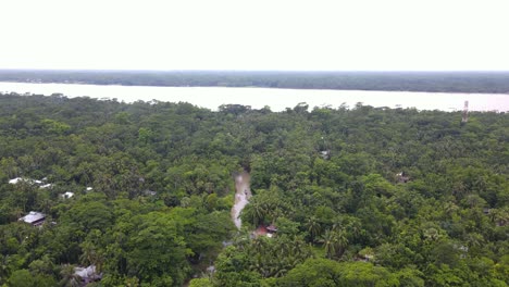 亞馬遜原住民村 森林與河流