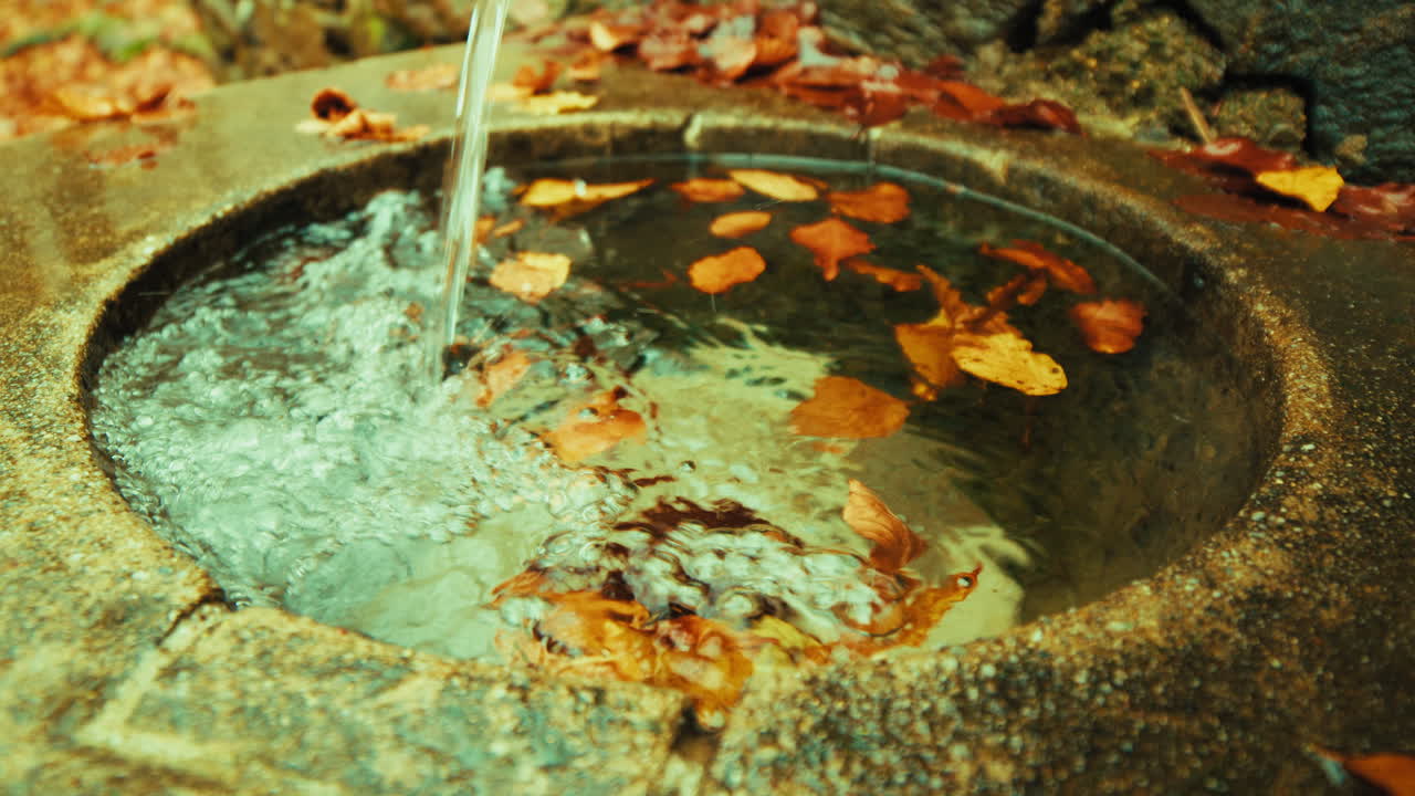 Mountain Fountain Flowing Into a Pool of Water with Dry Autumn Leaves