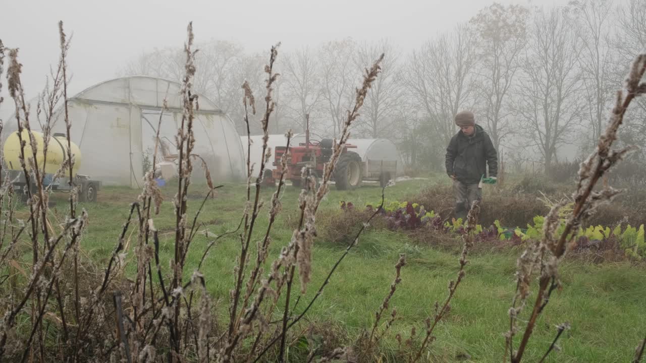시골 농장에서 빈 상자를 들고 걷는 남자