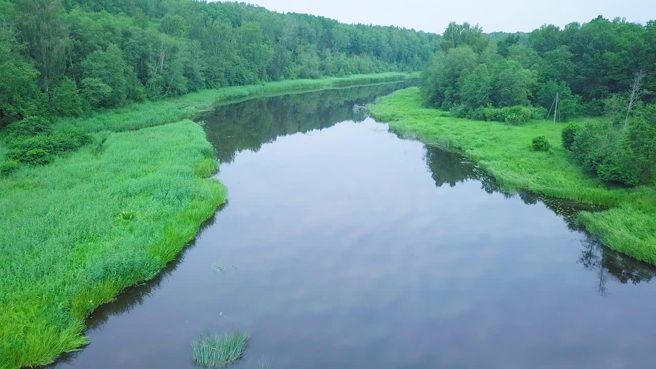 vista aérea de un río venta en un día soleado de verano, exuberantes árboles y prados verdes, hermoso paisaje rural, disparo de drones de gran angular moviéndose hacia atrás
