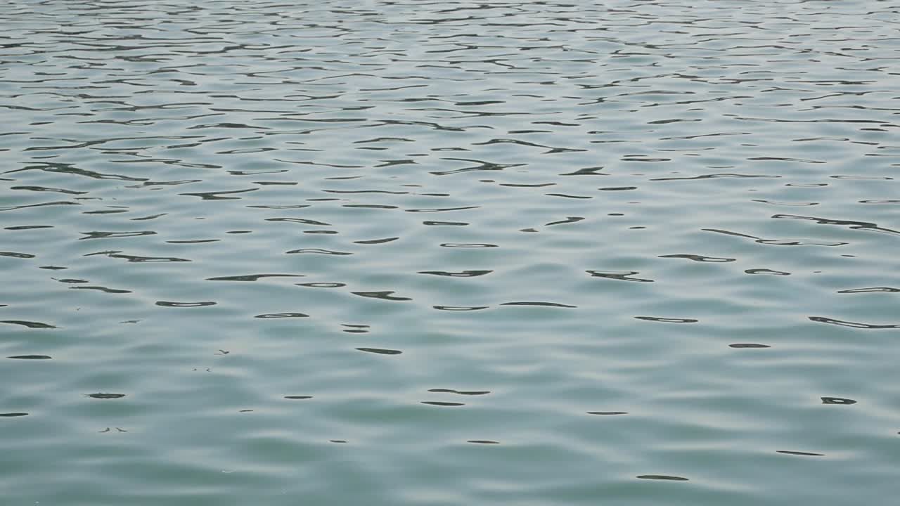 물 표면의 파동