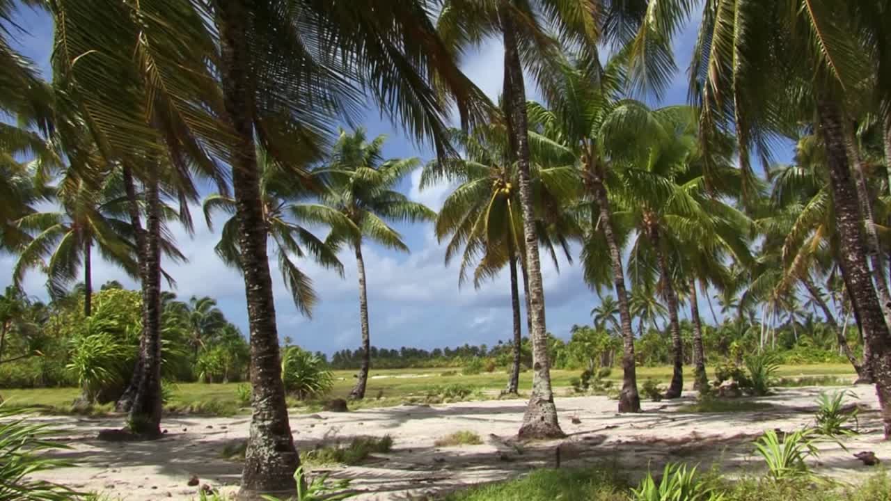 hermoso paisaje de fanning island,tabuaeran,república de kiribati