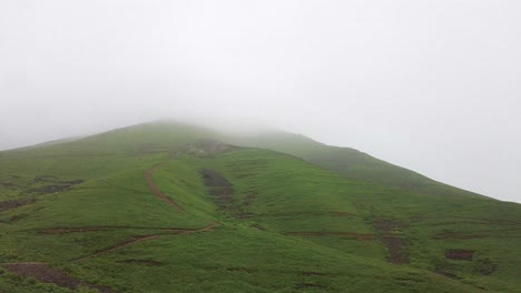 Prado-Verde-Salvaje,-Colinas-Verdes-Con-Niebla