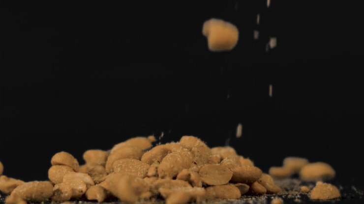 Isolated Healthy Organic Peanuts Falling on Black Background in Slow Motion. Use Screen or Add Mode to Put in Your Video. ProRes 4K.