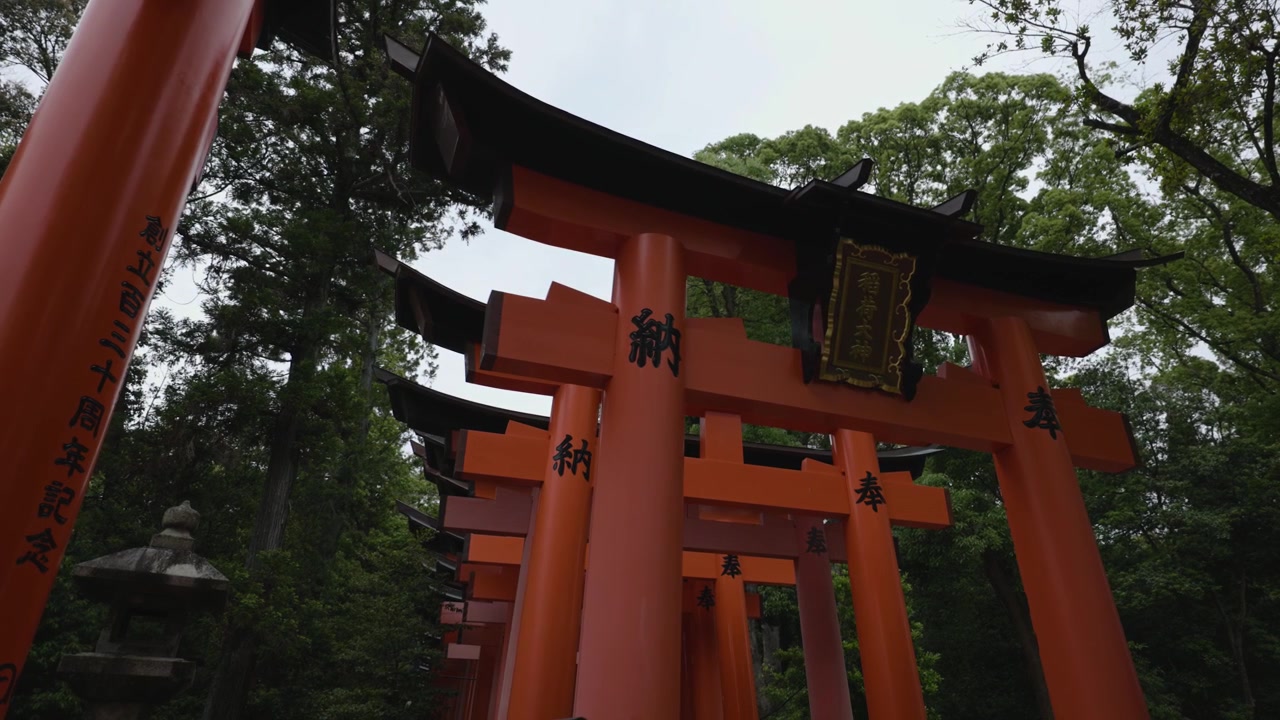 Red toriis, Fushimi Inari-taisha at dusk, Kyoto Japan