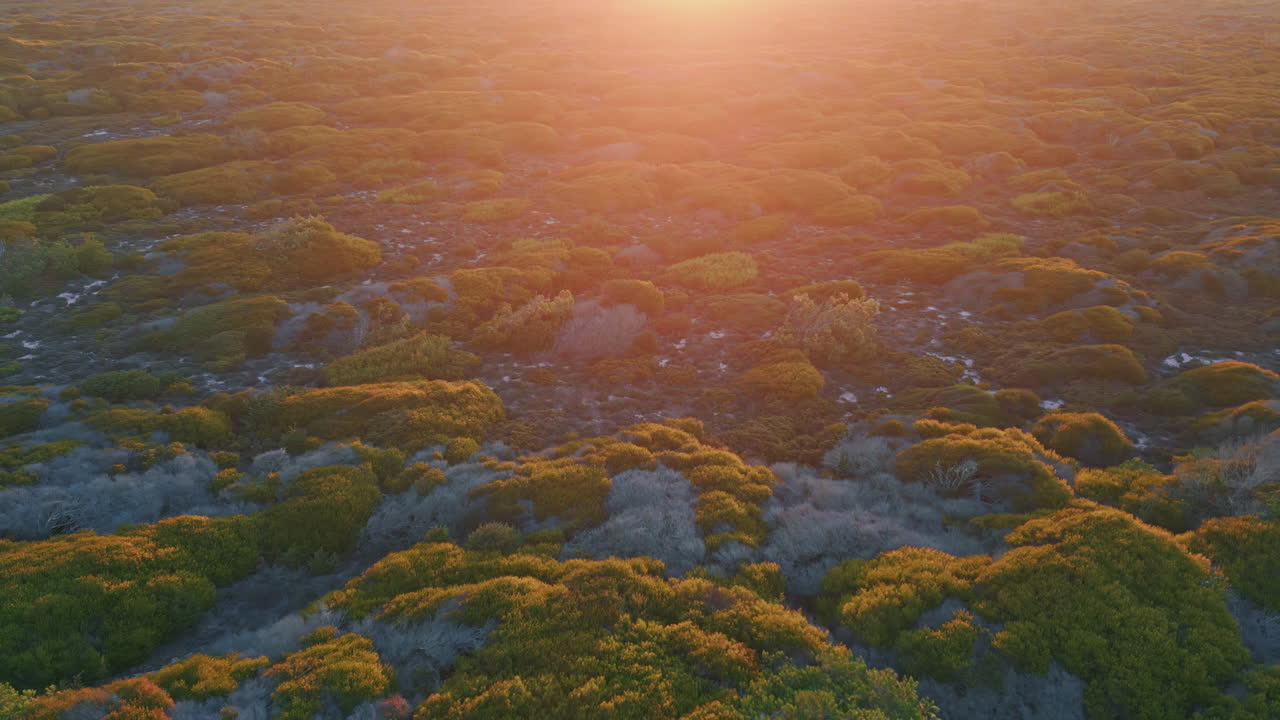 Sunset light illuminating steppe ground drone view. Picturesque golden sunlight