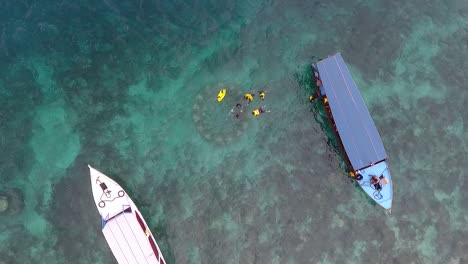 people snorkel at coral reef on coast of gili island, lombok, indonesia, top view