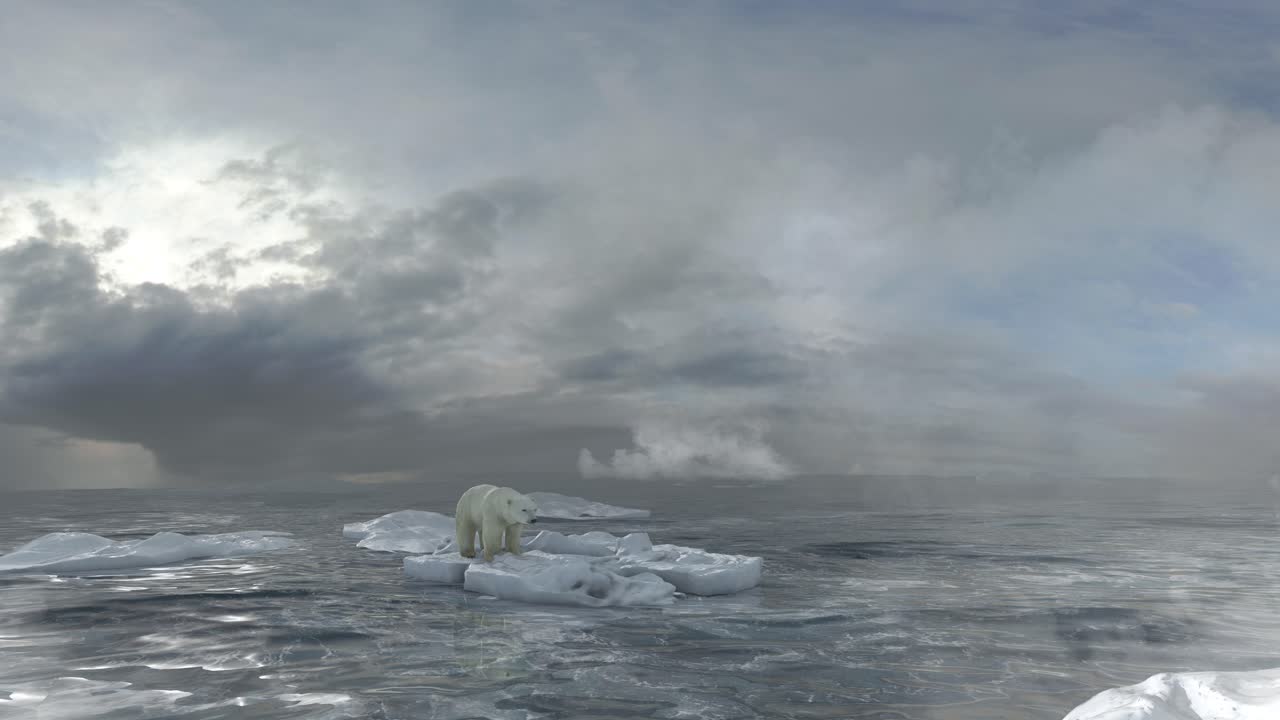 Polar Bear on Melting Ice
