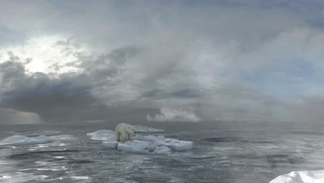polar bear on melting ice
