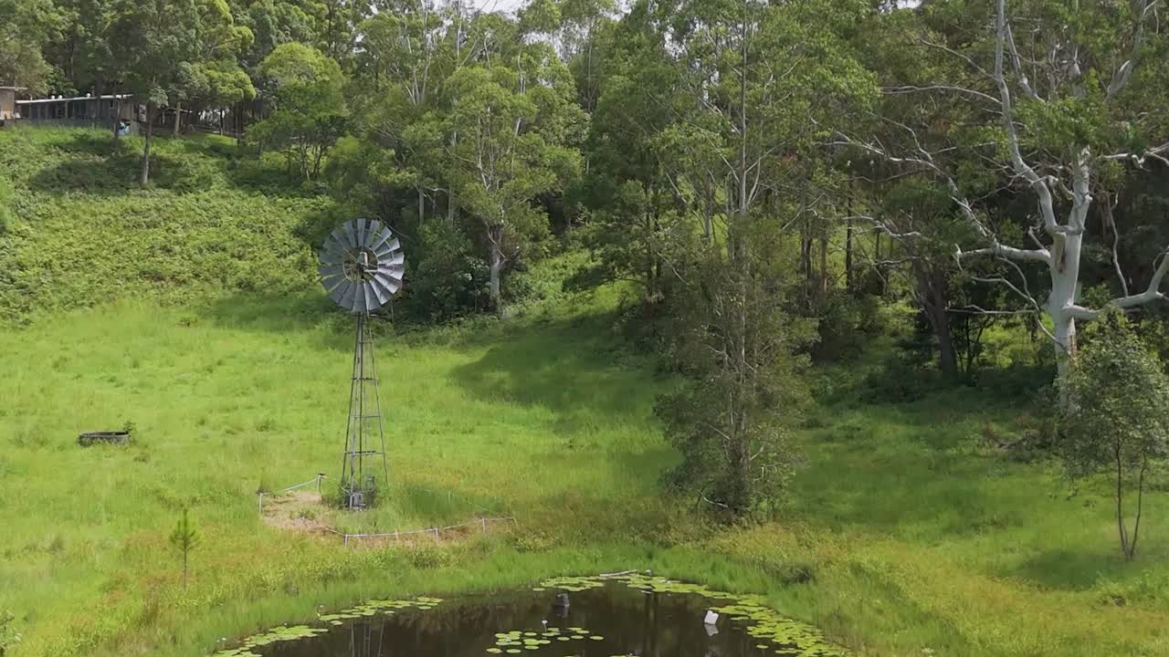 연못 과 풍차 를 둘러싸고 있는 울창 한 초록색