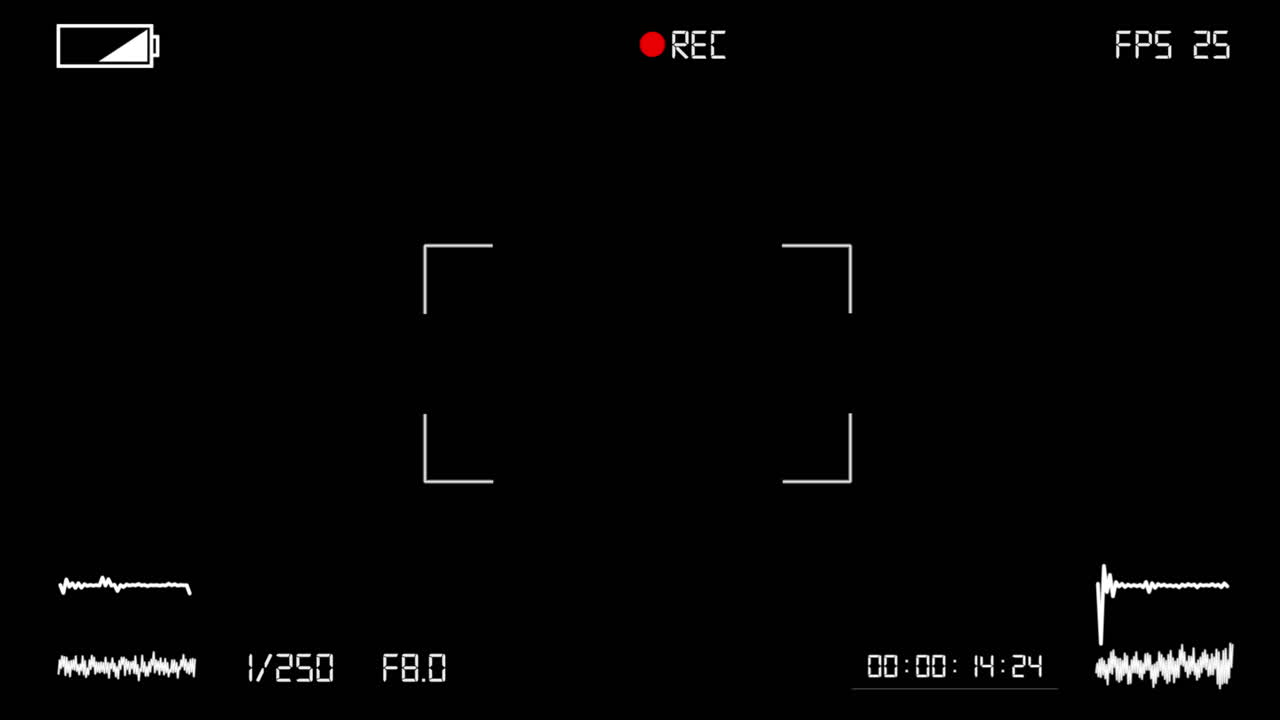 Video Camera Recording Screen Overlay with Technical Information