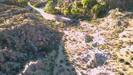 Hills-of-the-Joshua-national-park,California,with-trees-and-bushes