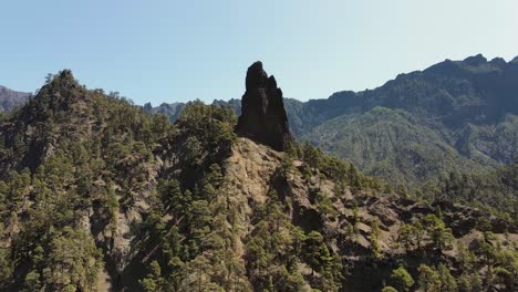 la vista de drones muestra un hermoso bosque de montaña en un parque nacional en la palma, islas canarias, españa