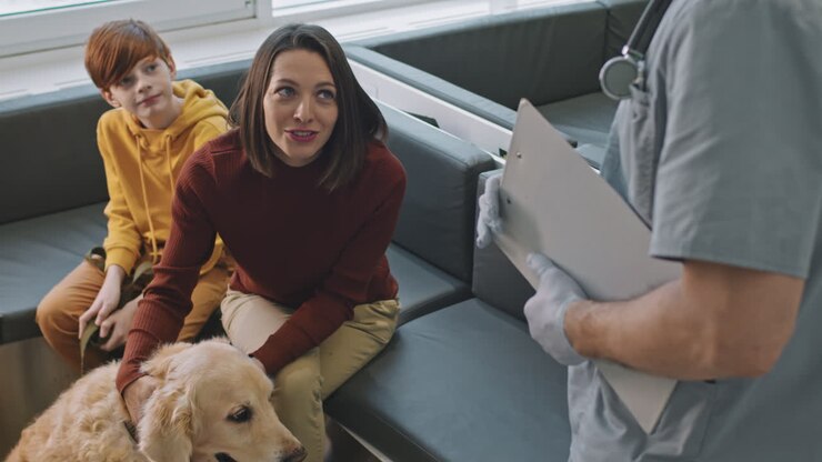 Vet Consultation At Clinic