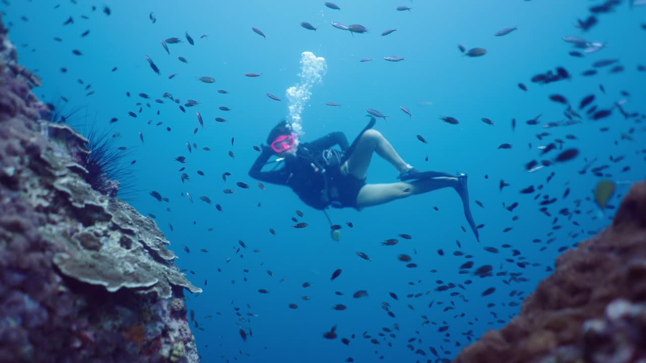 활기찬 산호초 를 탐험 하는 스쿠버 다이버