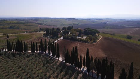 increíble vista aérea de arriba vuelo toscana área de cultivo de vino mediterráneo italia otoño 23