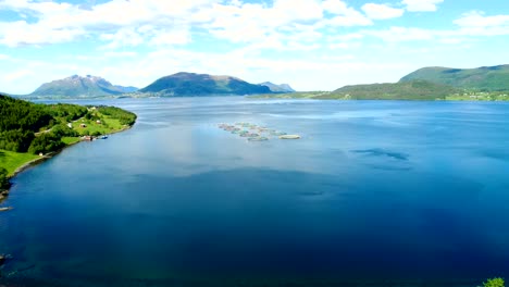 aerial footage farm salmon fishing in norway