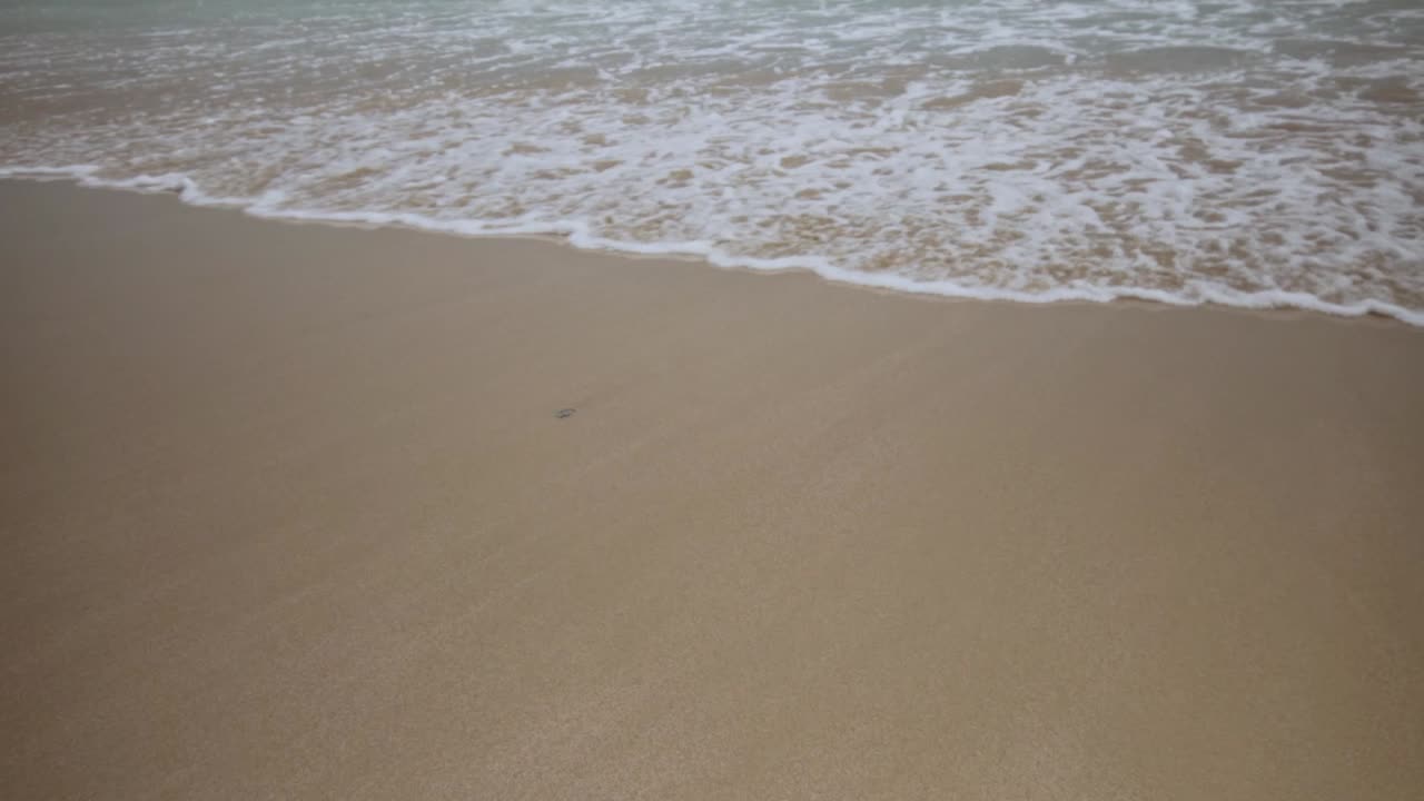 탐피코 해변에서 파도의 슬로우 모션