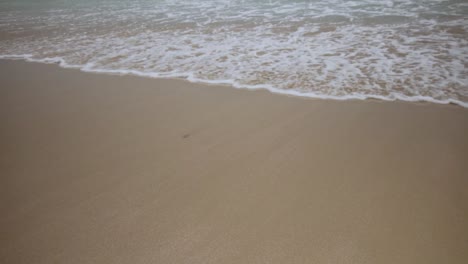 탐피코 해변에서 파도의 슬로우 모션