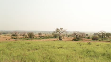 Viajando-Por-Delante-En-La-Sabana-Africana,-Drone-4k,-Angola,-áfrica-4