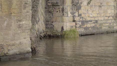 water lapping against building wall