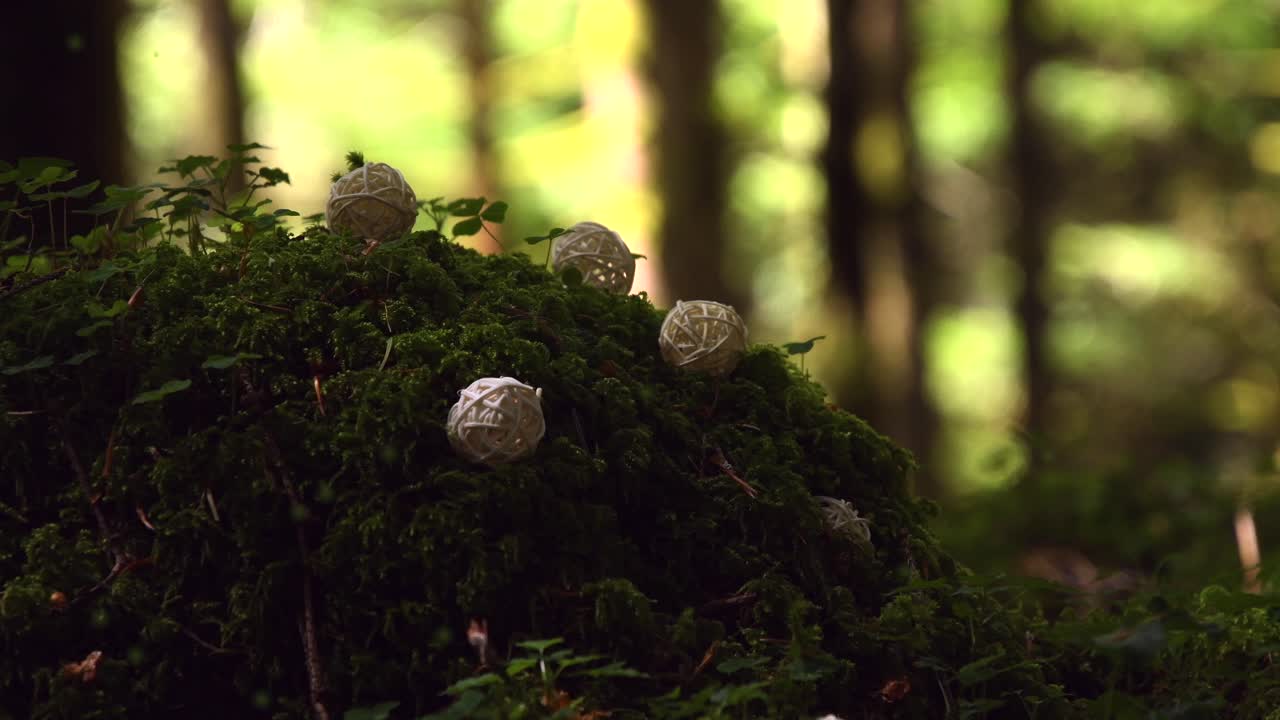 bosque mágico con un hada amarilla que brilla intensamente volando sobre musgo verde brillante y algunas hierbas pequeñas, con bolas de madera, con el bosque al fondo, en un día ventoso y soleado