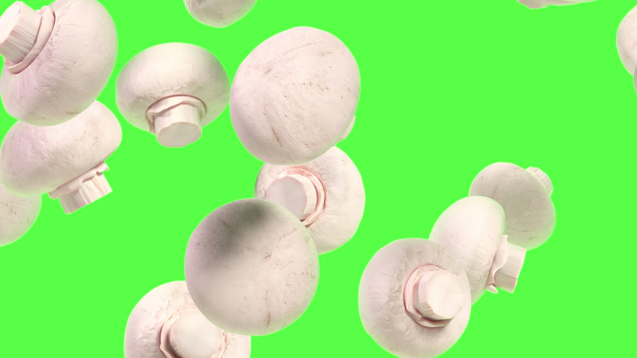 setas de champignon que caen aisladas en el fondo verde clave