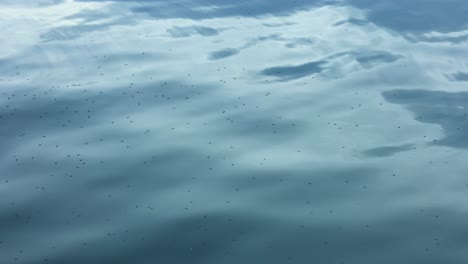 calm underwater scene with light patterns