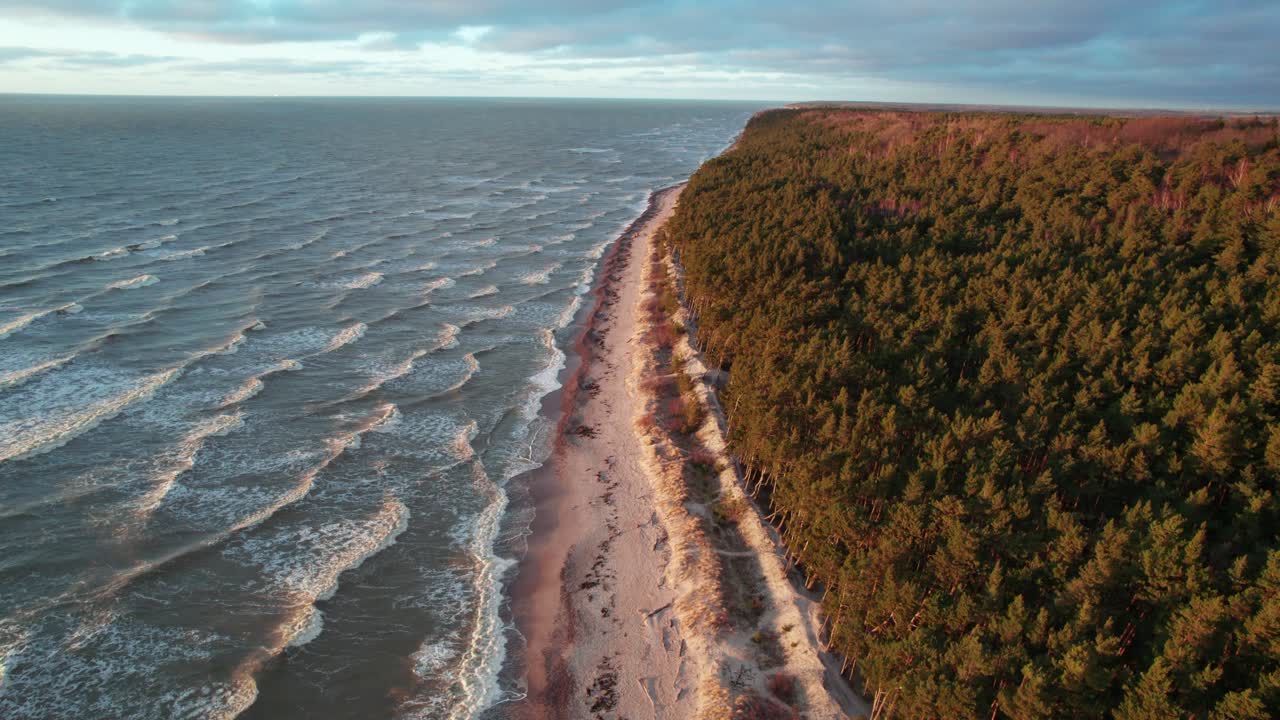Kæmpebølger fra Østersøen ruller ind på en øde strand ved siden af en stor skov, oplyst af en nedgående sol på en overskyet dag i Giruliai, Litauen.