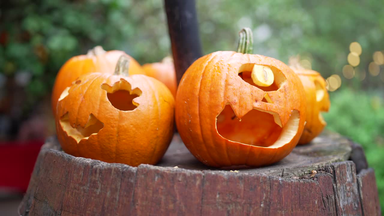 Two carved pumpkins sit on a barrel in a green garden in daylight on Halloween, scary faces, spooky, festive charming decoration