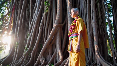 young monk in saffron robes standing solemnly before a massive banyan tree, roots reaching down like ancient pillars, bathed in warm morning sunlight