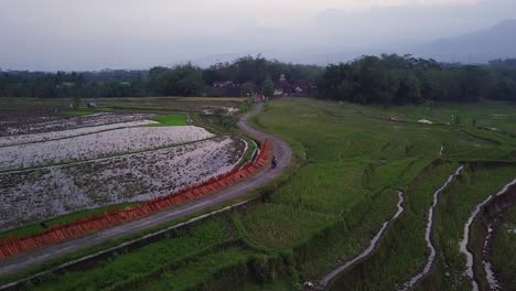Aerial-tracking-shot-of-motorcycle-driving-on-road-surrounded-by-flooded-rice-fields-in-dusk