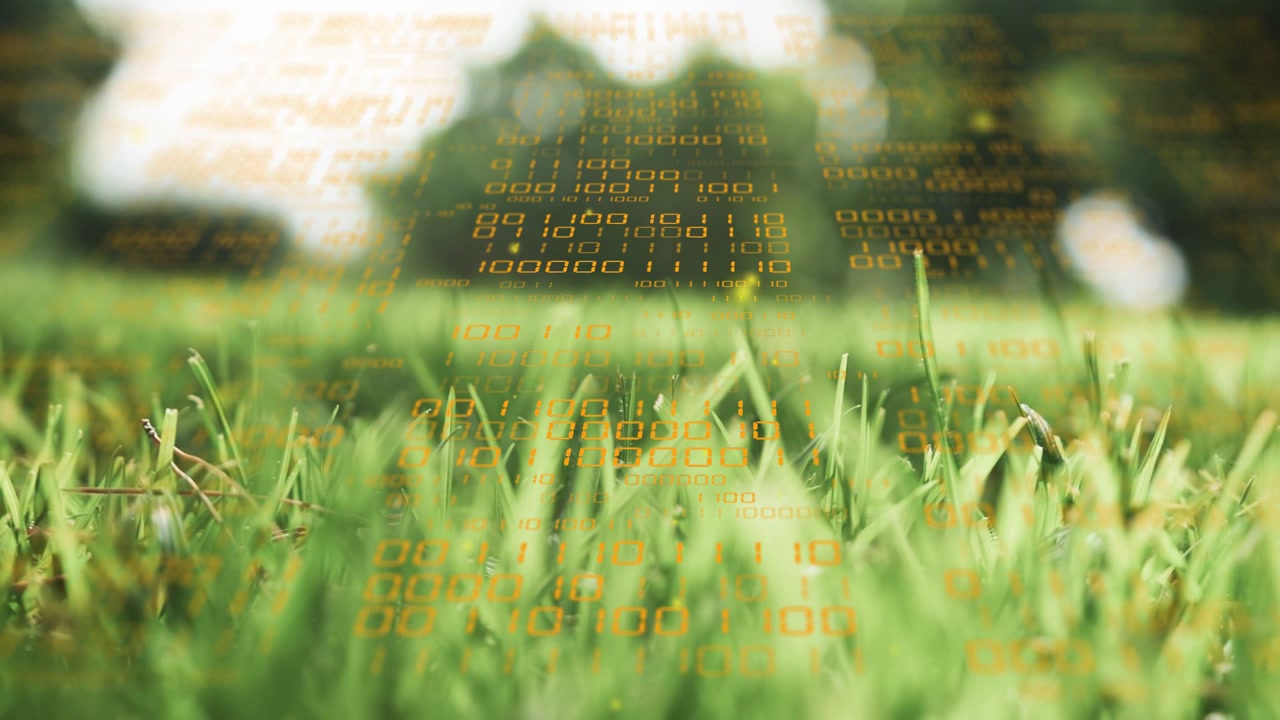 Grass blades swaying while amber HUD overlay emerging after sunlight glint, visualizing sensor data