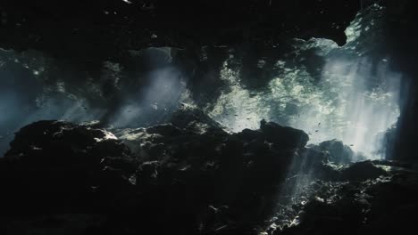 underwater wide shot of a cenote in mexico with light rays and reflections