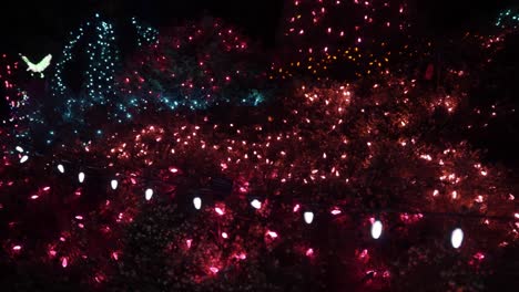 Disposición-De-Luces-Navideñas,-En-Su-Mayoría-Rojas,-Colgadas-Sobre-Un-Macizo-De-Flores-En-Un-Jardín-Por-La-Noche-Para-Celebrar-La-Temporada-Festiva,-Dando-Un-Cálido-Resplandor-Con-Cientos-De-Luces.