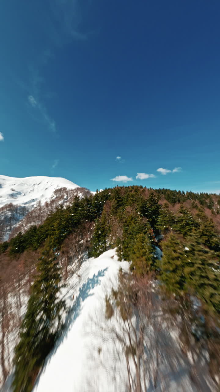 Vista drone su una foresta montana innevata, paesaggio invernale sereno.